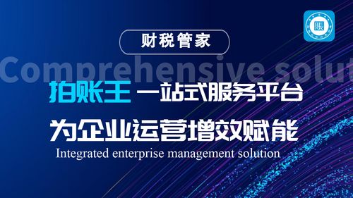 拍賬王 備受矚目的互聯(lián)網(wǎng)財稅服務(wù)品牌