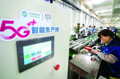 金華市第七次人口普查數(shù)據(jù)揭示城市發(fā)展新趨勢(shì)