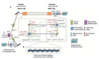 2016年中國重大科學(xué) 技術(shù)和工程進展 技術(shù)篇