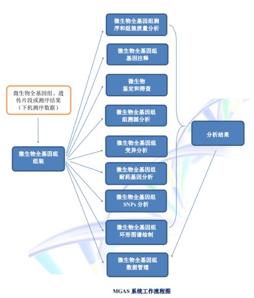 聚焦傳染病防控,碩世邀您共襄第14屆傳染病防控基礎(chǔ)研究與技術(shù)應用學術(shù)交流會