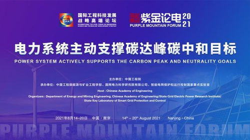 2021國(guó)際工程科技發(fā)展戰(zhàn)略高端論壇暨第六屆紫金論電國(guó)際學(xué)術(shù)研討會(huì)召開